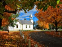 Invest Smart: Top Tips for Maximizing Your Risk-Reward Strategy This Fall