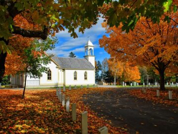 Invest Smart: Top Tips for Maximizing Your Risk-Reward Strategy This Fall