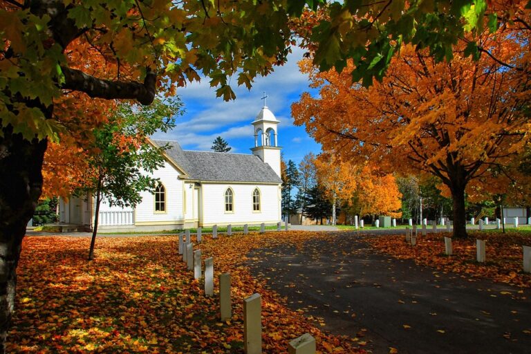 Invest Smart: Top Tips for Maximizing Your Risk-Reward Strategy This Fall